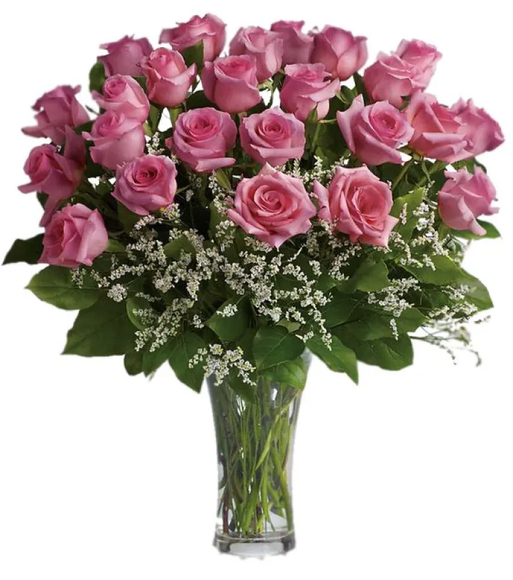 24 Pink Roses